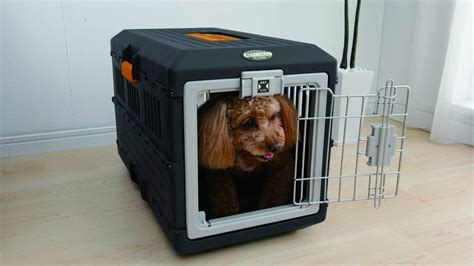 caixa de transporte para cães gol